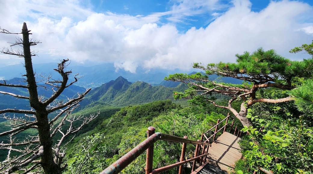 伽倻山國家公園