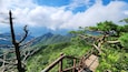 伽倻山國家公園