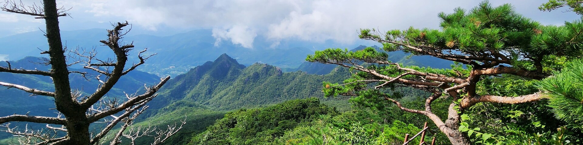 Korean mountains. hiking in gayasan national park south korea. path to the top of the mountain.