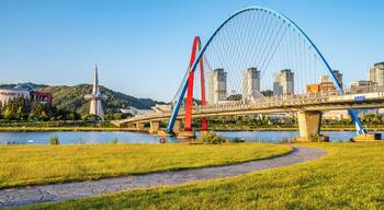 View of lawn and bridges in Expo Park at Gapcheon