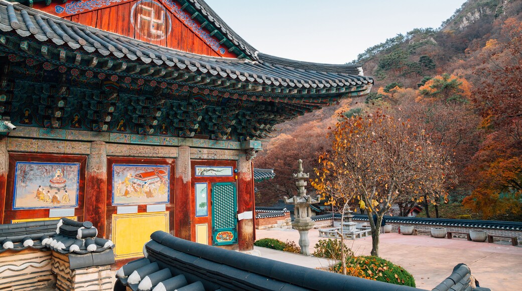 Parque Nacional de Gyeryongsan
