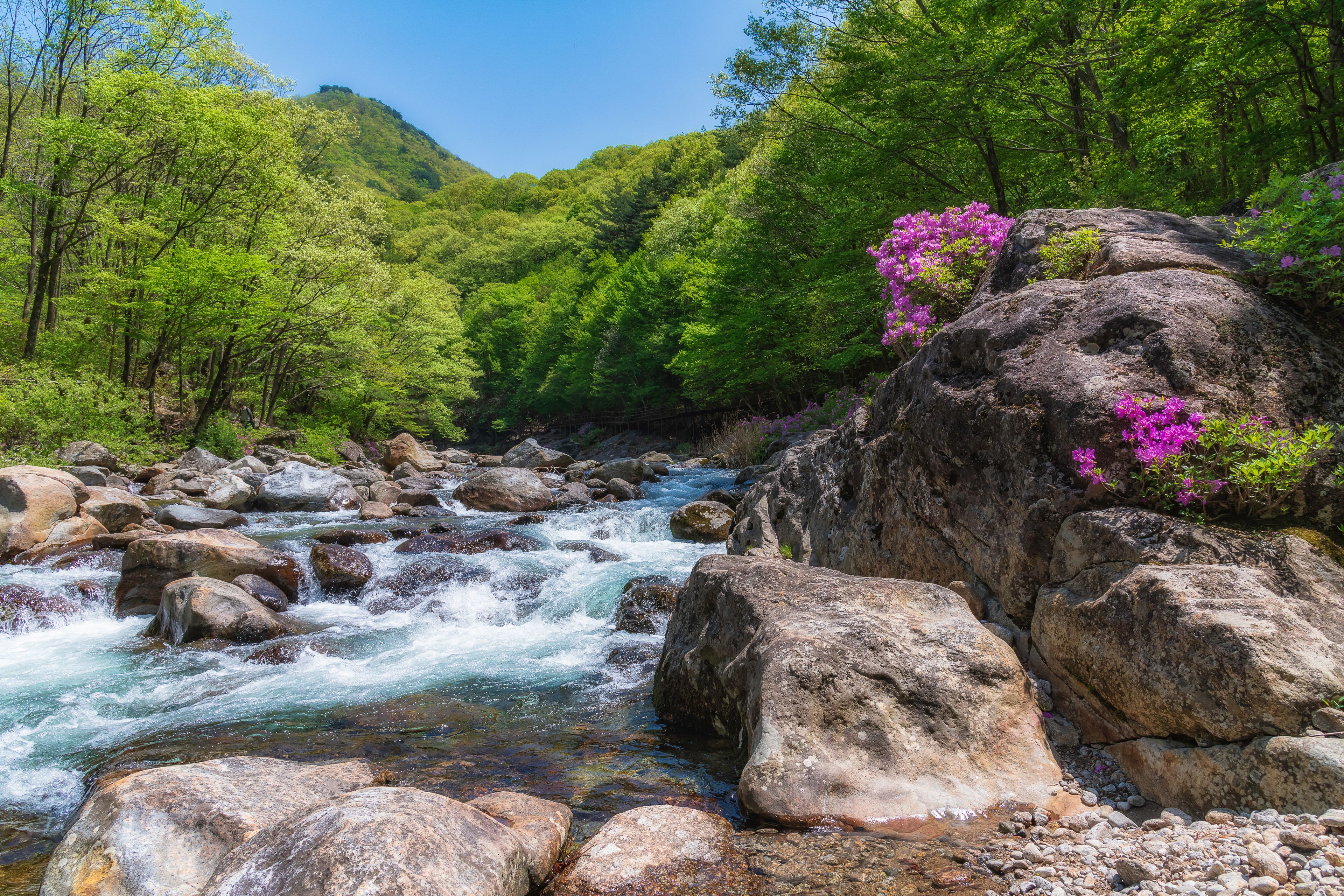 Parque nacional Jirisan