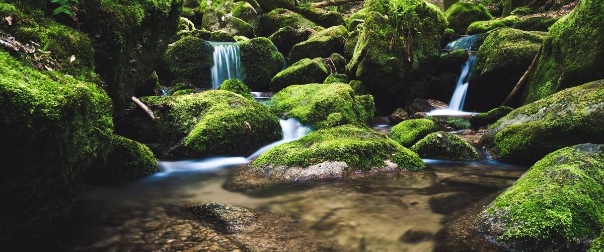 A forest stream with moss-covered rocks and waterfalls.