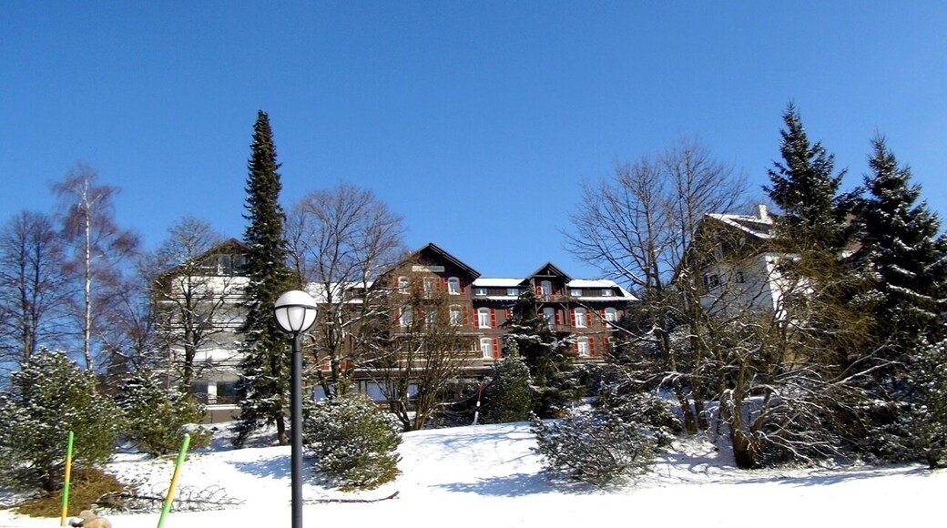 Bühlertal - Hotel Plättig ****
