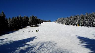 A snowy ski slope with trees on both sides and skiers in the distance.