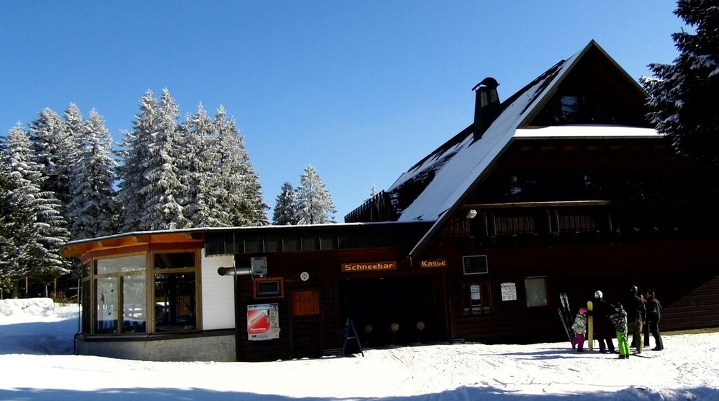 Hundseck - Schneebar