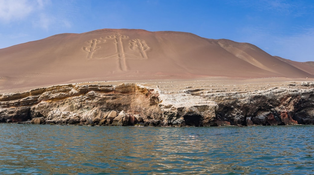 Bootstour vorbei an dem El Candelabro (Nazcalinien) zu den Ballestas Inseln