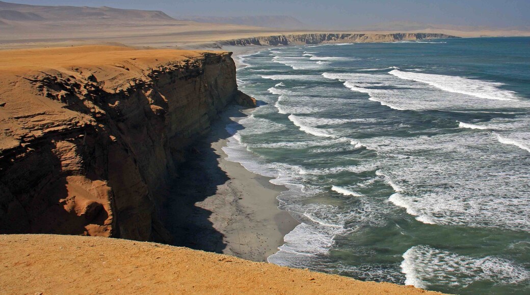 The coastline at the Paracas National Reserve in Peru. This reserve is a great place to see flamingos, sea lions and whales. We also observed several porpoises from the shoreline. There were several places along the shoreline that allow access to the beaches below.