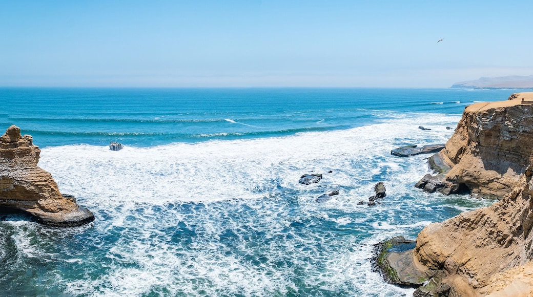 Landscape of the Paracas National Reserve in Peru