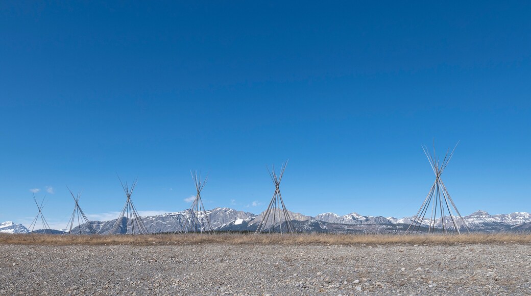 A row of tipi (teepee) frames on the Stoney Indian Reserve near Morley, Alberta, Canada