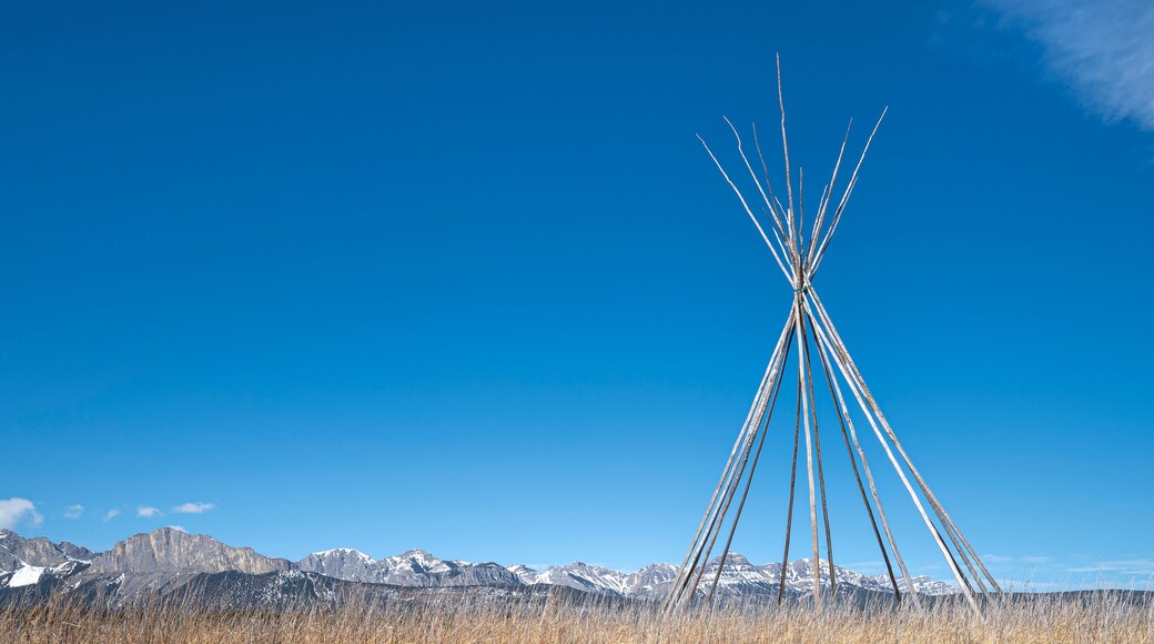 Teepee frame on the Stoney Indian Reserve near Morley, Alberta, Canada