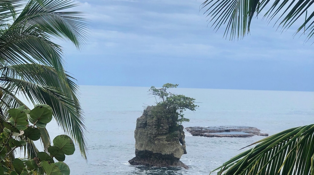 Beautiful location on the Caribbean side of Costa Rica. Don’t forget to try the delicious chicken and rice & beans before you leave. #puravida #adventure