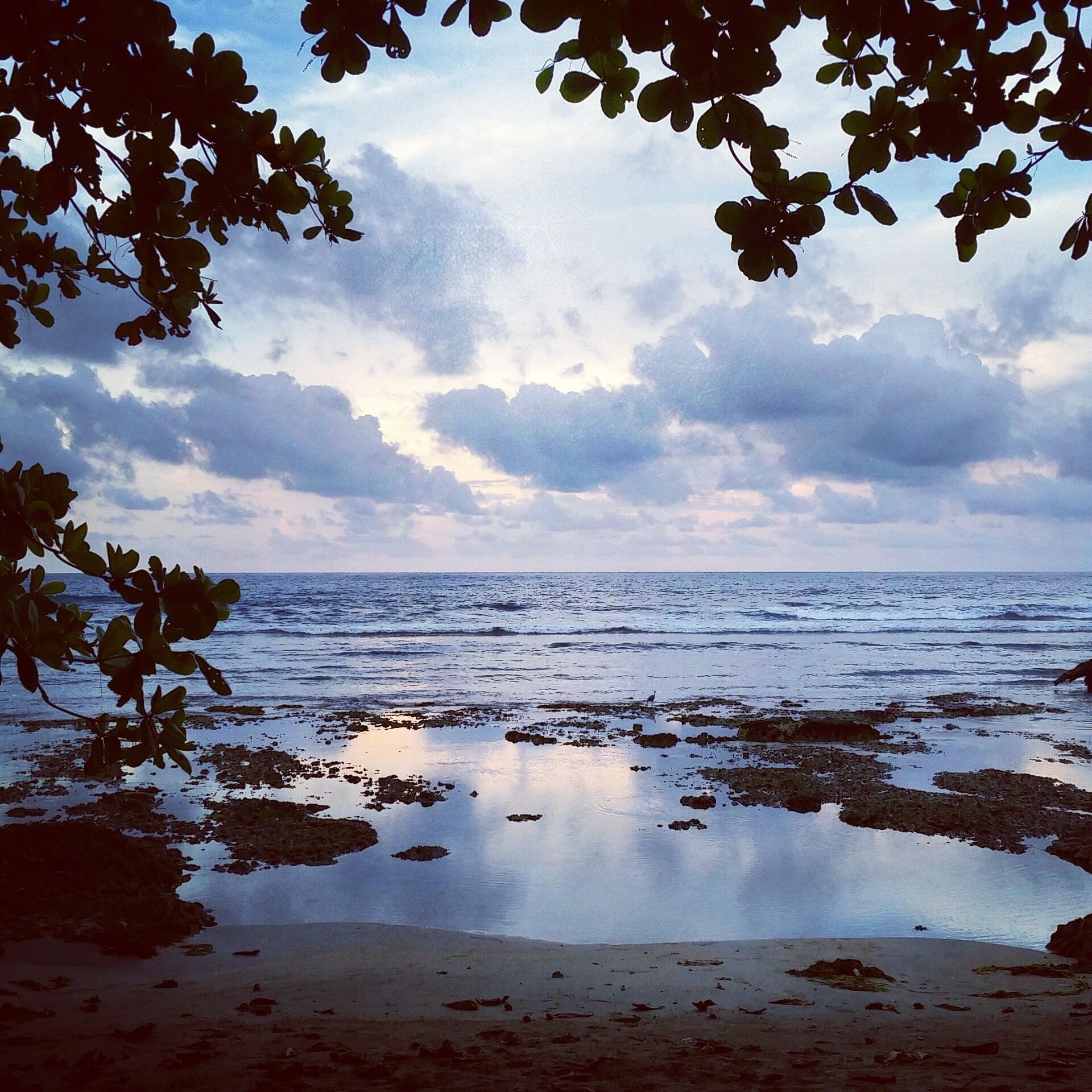 A beach with calm water, scattered rocks, and overcast sky.