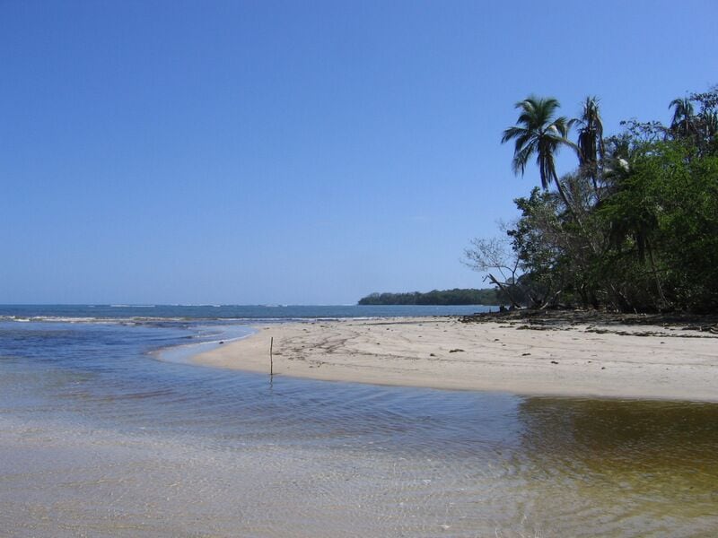 Most people head to the Pacific coast of Costa Rica or even into the mountains.  If you want to see another side of this lovely country add this spot to your schedule.  More details: http://turtlestravel.com/dont-skip-cahuita-costa-rica/