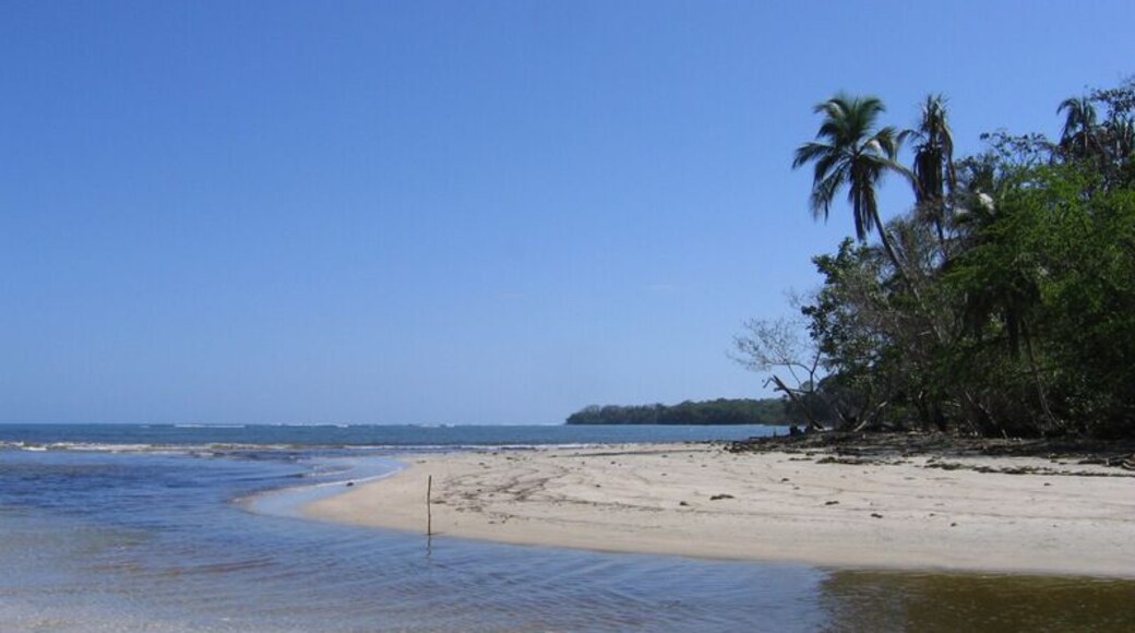 Most people head to the Pacific coast of Costa Rica or even into the mountains. If you want to see another side of this lovely country add this spot to your schedule. More details: http://turtlestravel.com/dont-skip-cahuita-costa-rica/