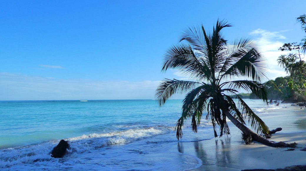 Cahuita National Park, Great walks through the rainforest
