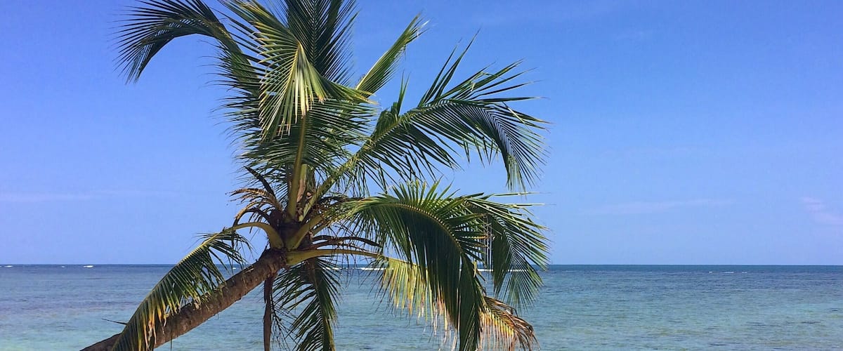 Great beaches, wildlife and scenery. #costarica #puravida #endlesssummer