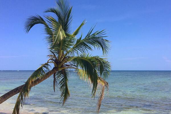 Great beaches, wildlife and scenery. #costarica #puravida #endlesssummer