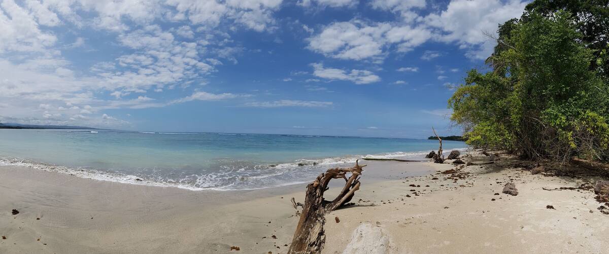 A beach with clear turquoise water, sandy shore, and scattered driftwood.