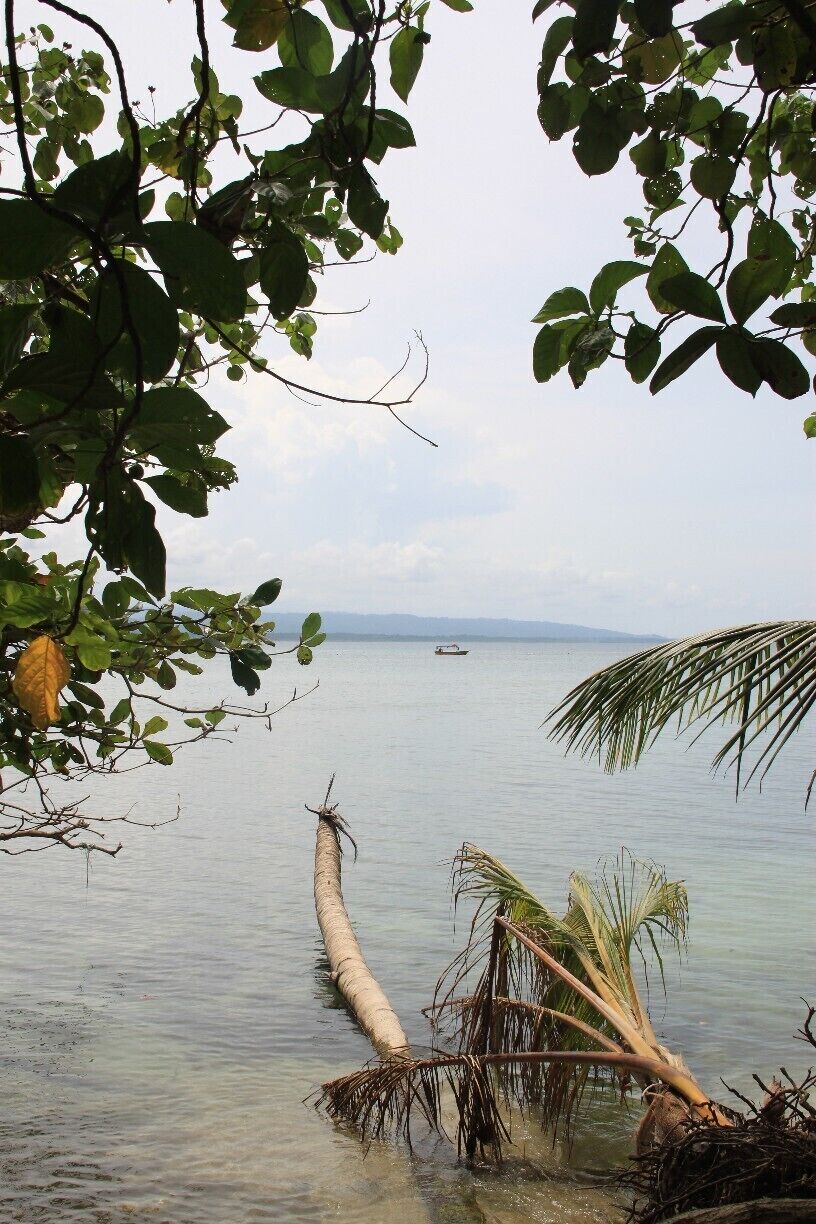 Use the entrance at Kelly Creek (in Cahuita) as you don't have to pay an entrance fee there (but you should give a donation). 
There is a path leading you through the whole national park in about 3 to 4 hours. (you don't need a guide!)
You can see different monkeys, sloths, toucans, agoutis, a lot of birds,...
There is a possibility to snorkel in the reef which belongs to the national park; a guide is required though. 