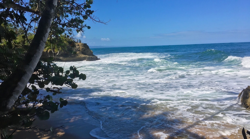 📍Playa Manzanillo. One of Costa Rica’s most beautiful beaches with aquamarine waters and perfect hiding spots for a picnic on your own private beach. Don’t be scared to walk along the trails and explore the wilderness — keep going to “el mirador” for a fantastic view on top of a rock of the whole coast!