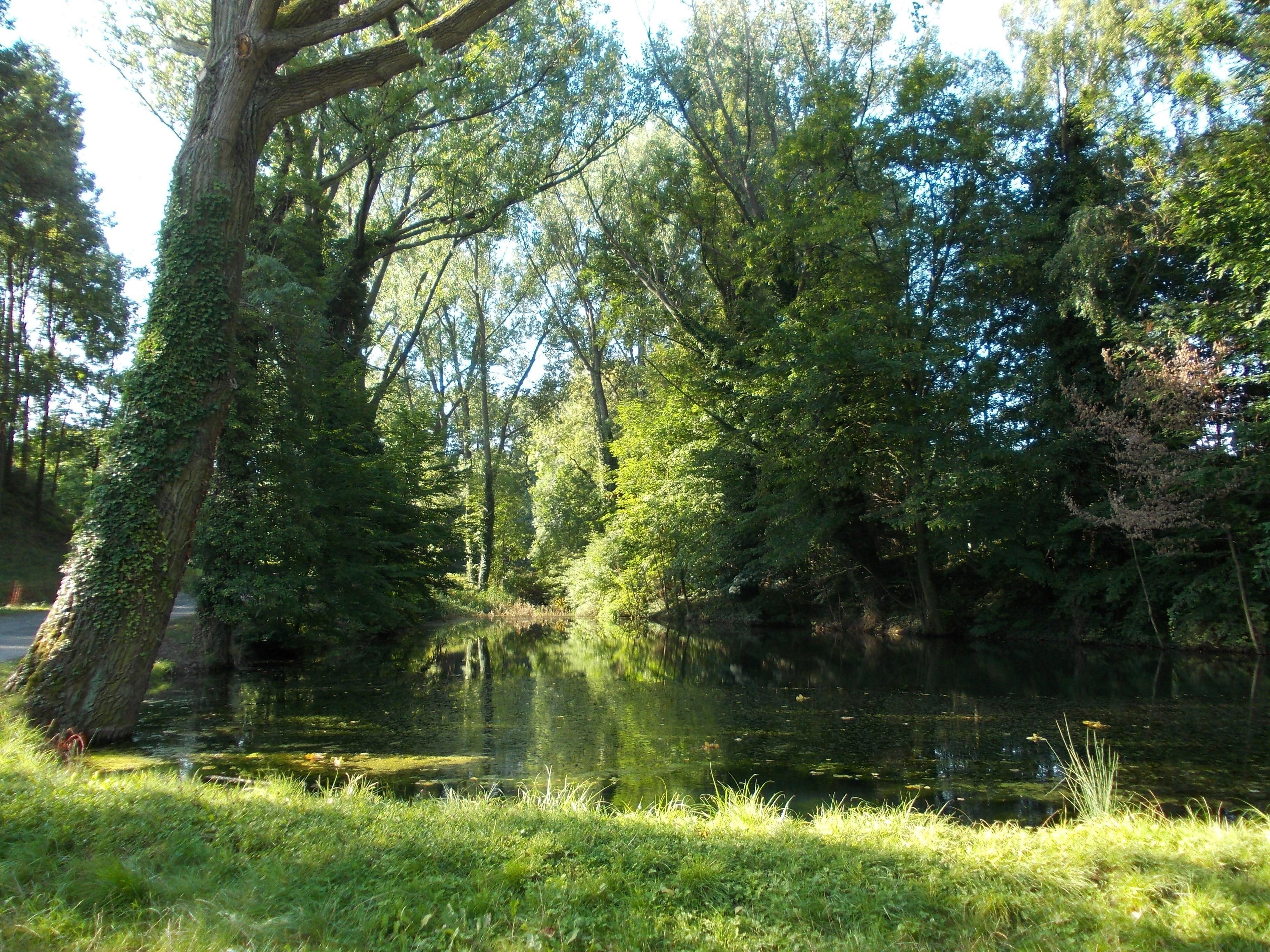 Schlossteich ("castle pond") in Freckleben (Aschersleben, district: Salzlandkreis, Saxony-Anhalt)