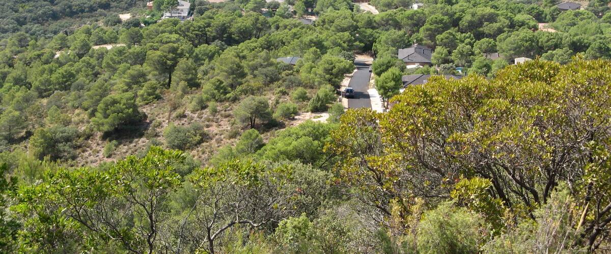 A rural landscape with scattered houses amidst dense greenery and hills in the background.