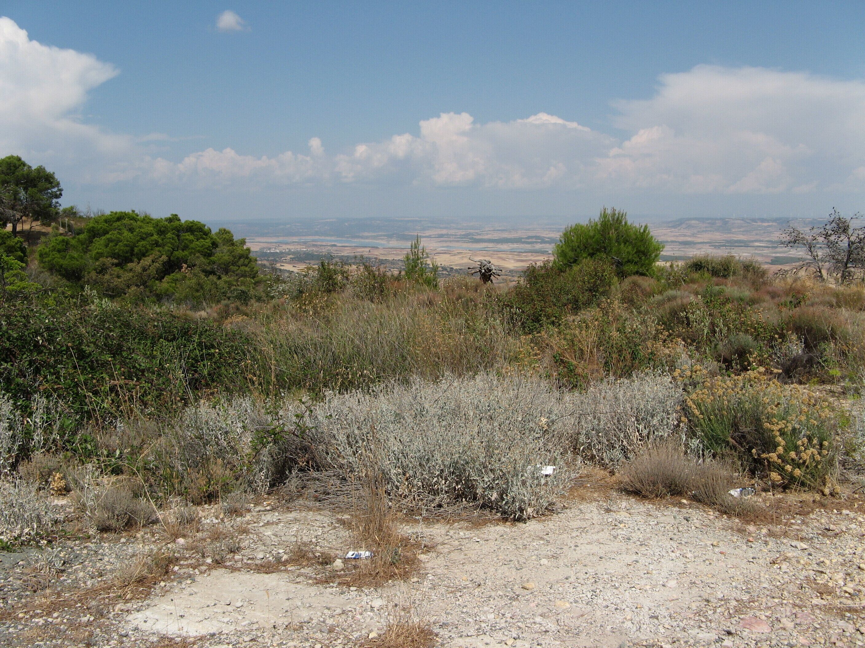 Urbanización Nueva Sierra de Madrid Albalate de Zorita 
Provincia de Guadalajara 
 Castilla-La Mancha España