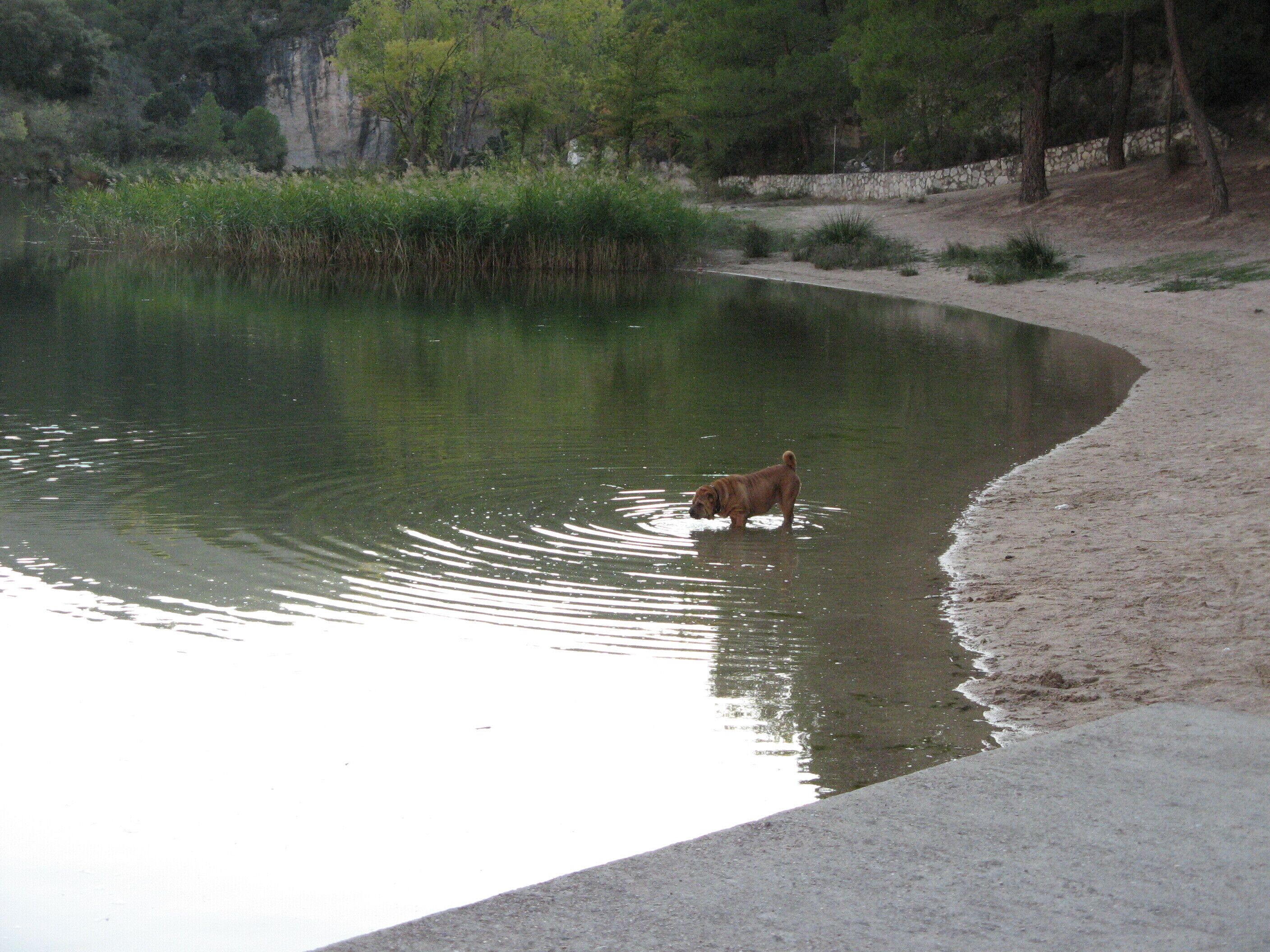 Urbanización Nueva Sierra de Madrid Albalate de Zorita 
Provincia de Guadalajara 
 Castilla-La Mancha España