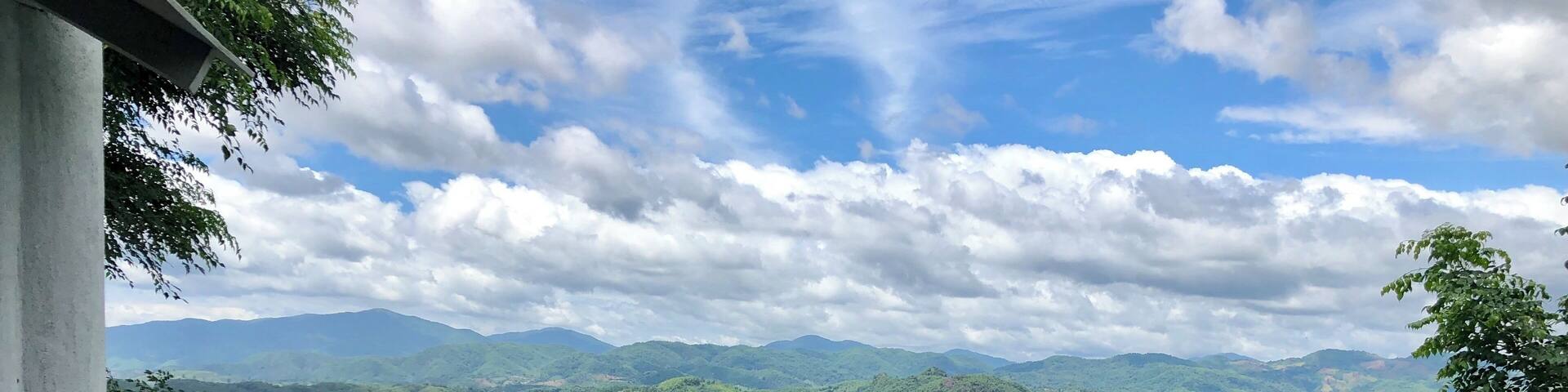 Life in the Jungle 😎 #chiangrai #katiliya