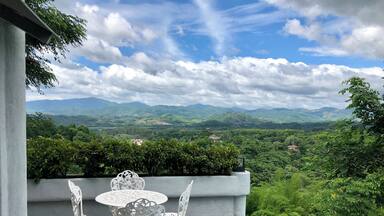 Life in the Jungle 😎 #chiangrai #katiliya