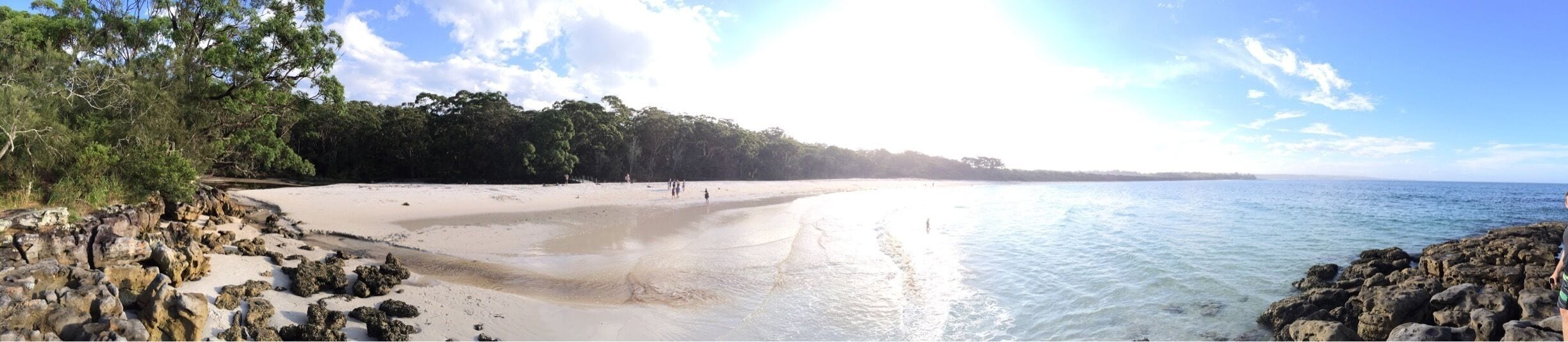 Green patch birds everywhere and beautiful beach