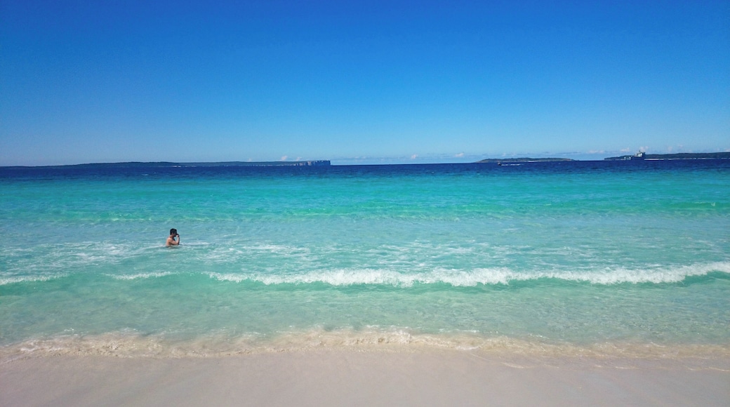 Make sure to visit Hyams beach for "the whitest sand in the world", in Jervis Bay which is located approx. 3 hours south of Sydney.
#lifeatexpedia #beaches