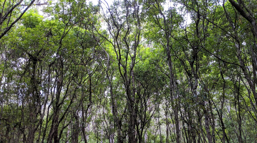 On the way to Murray's Beach
#lifeatexpedia #camp