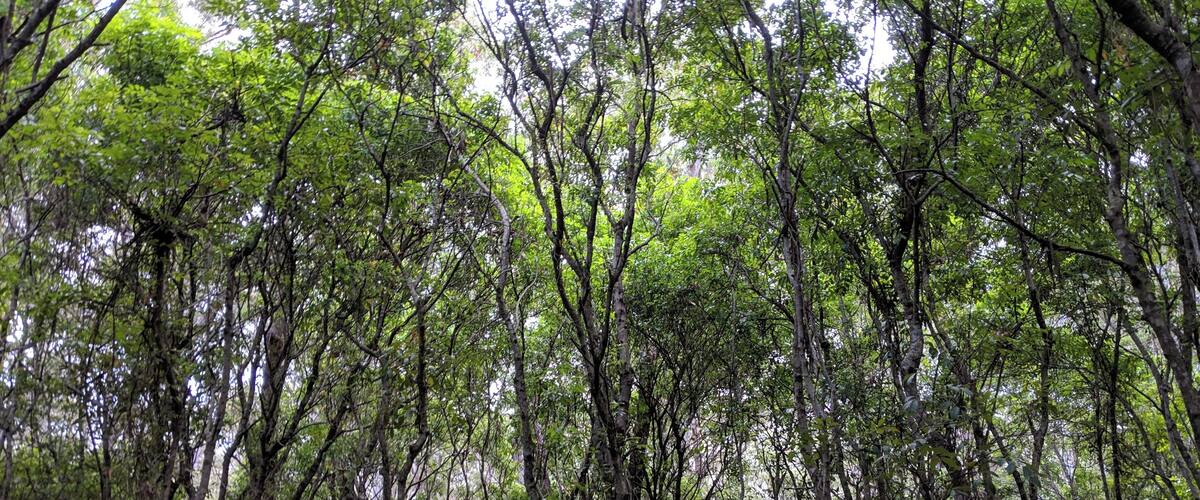 On the way to Murray's Beach
#lifeatexpedia #camp