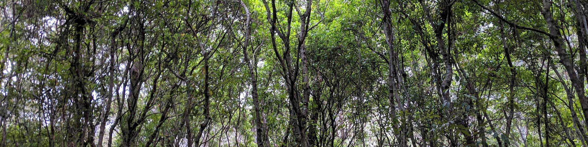 On the way to Murray's Beach
#lifeatexpedia #camp