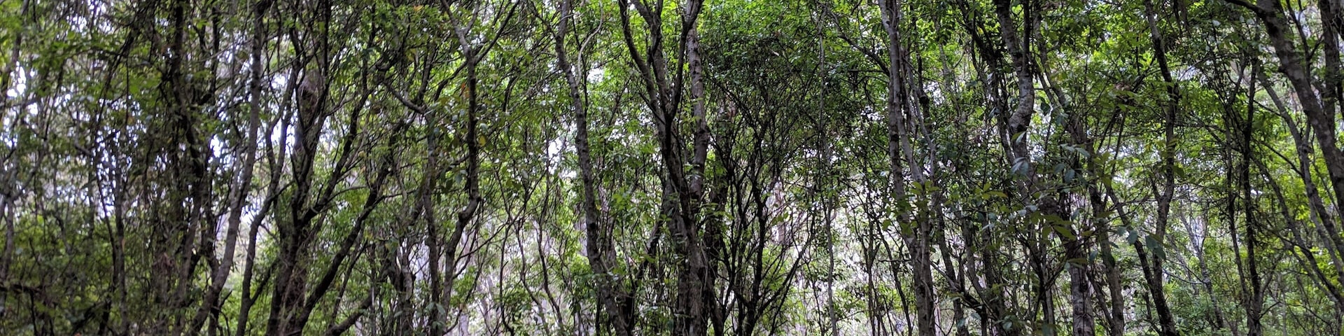 On the way to Murray's Beach
#lifeatexpedia #camp