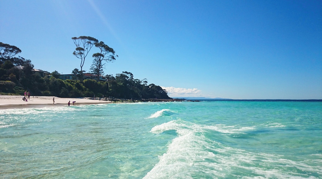 Make sure to visit Hyams beach for "the whitest sand in the world", in Jervis Bay which is located approx. 3 hours south of Sydney.
#lifeatexpedia #beaches
