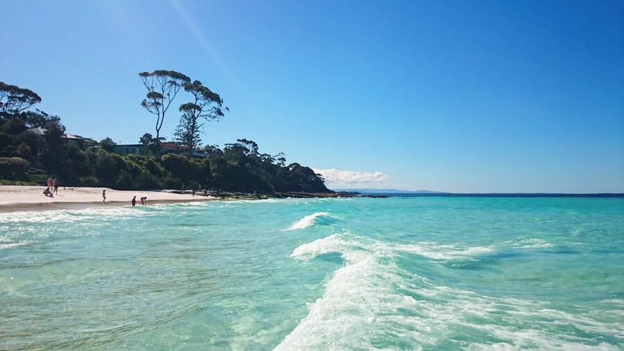 Make sure to visit Hyams beach for "the whitest sand in the world", in Jervis Bay which is located approx. 3 hours south of Sydney.
#lifeatexpedia #beaches