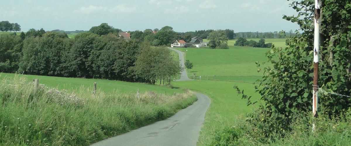 A rural road curving through a green landscape with houses in the distance and a speed limit sign.