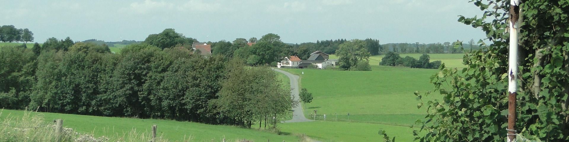 A rural road curving through a green landscape with houses in the distance and a speed limit sign.