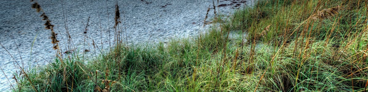 HDR of Beach in Florida at Sunrise.