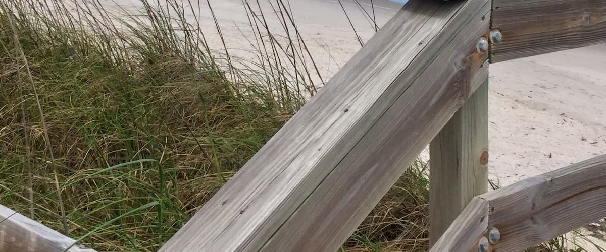 It's a beautiful day here along the Florida coast.