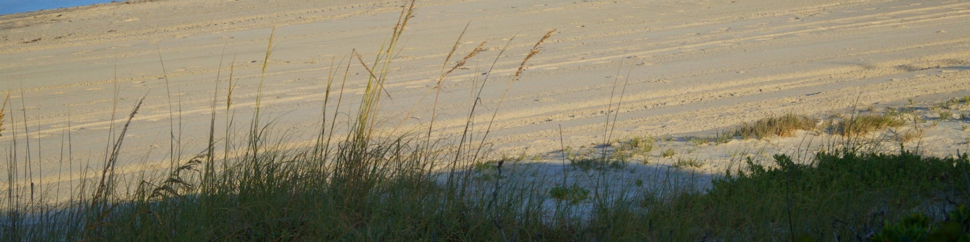 A sandy beach with waves crashing onto the shore.