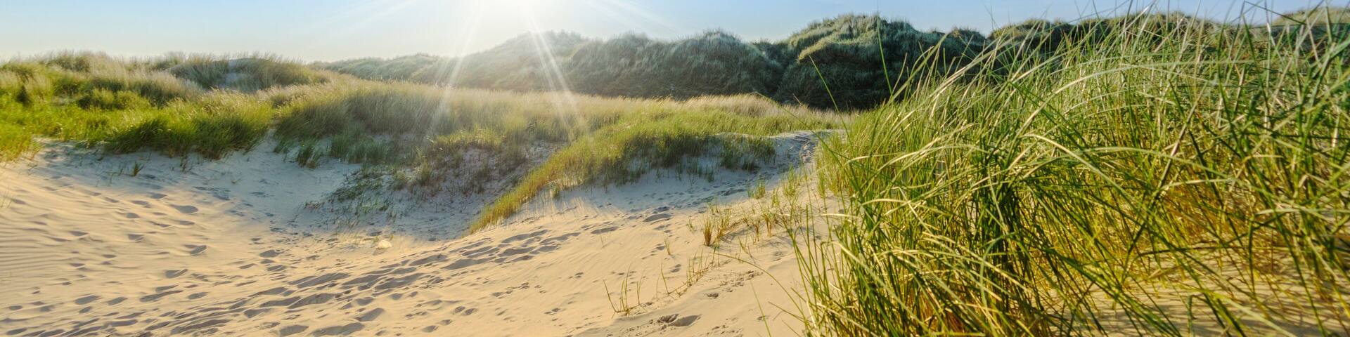 Sommerliche Dünenlandschaft auf norddeutscher Insel mit Sonnenstrahlen | Nordsee - Banner