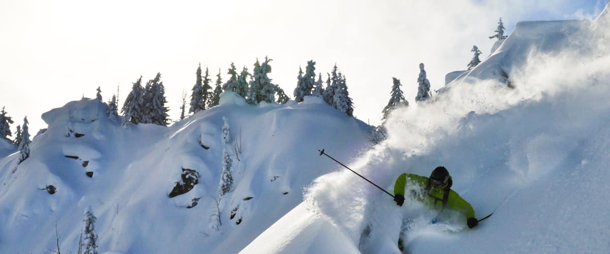 A skier on a snowy slope with trees in the background.