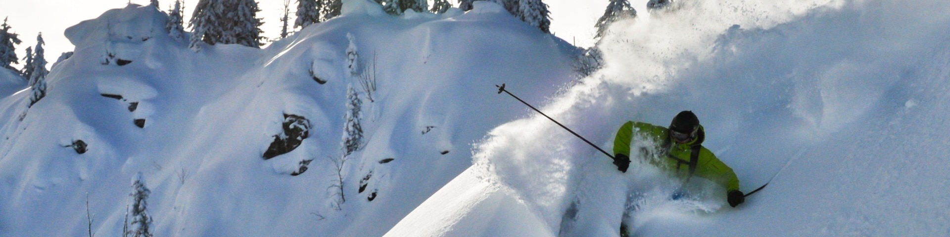 A skier on a snowy slope with trees in the background.