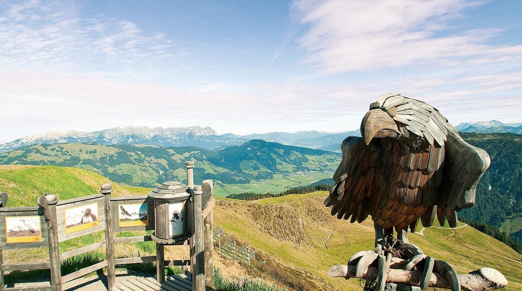 Westendorf mostrando vista del paesaggio e statua o scultura