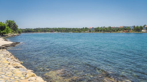 People relaxing in clear waters of Zaton bay with rocky coastline. Families having fun in turquoise water of Adriatic Sea at sunny day, Croatia