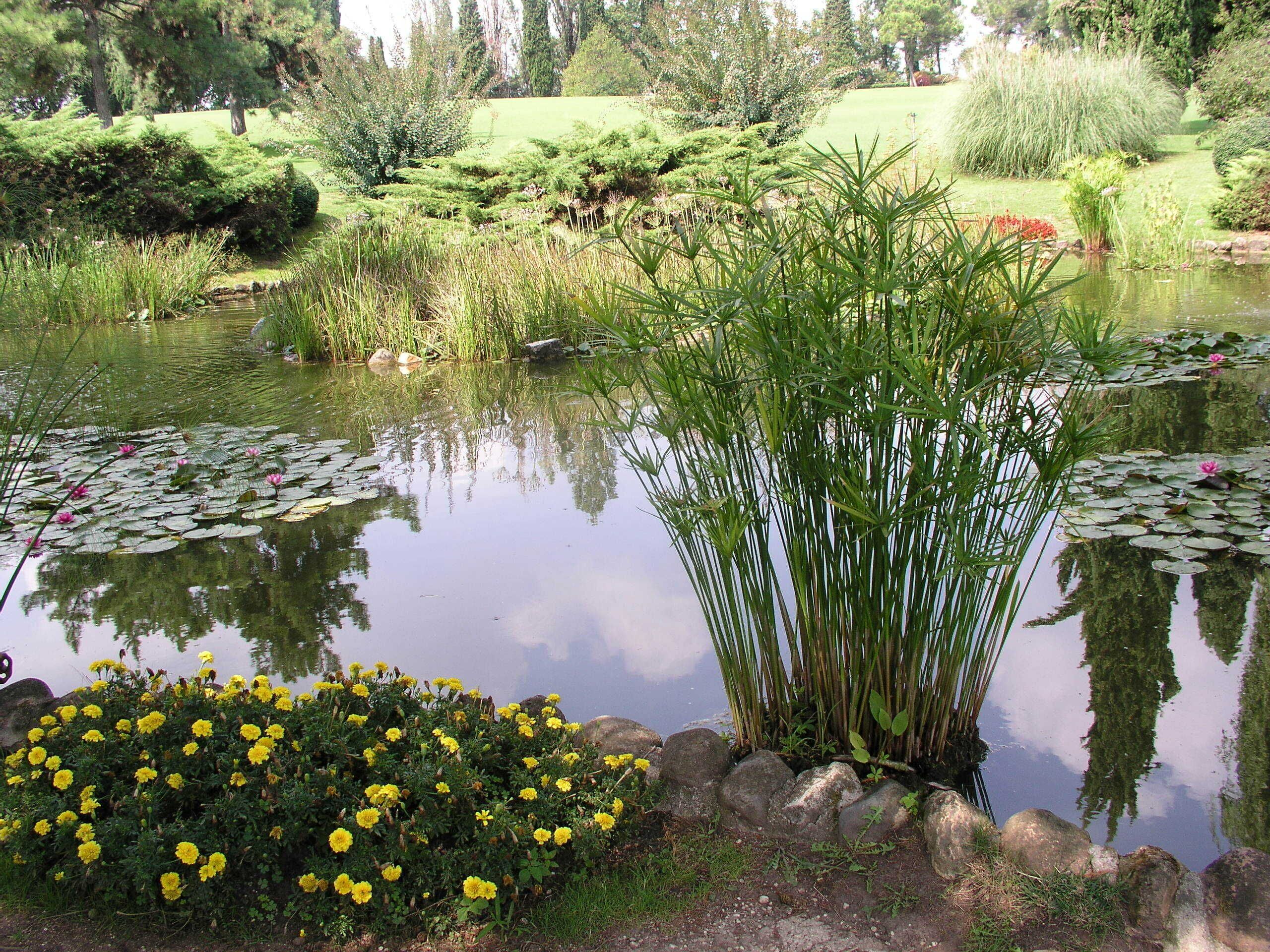 Laghetto al Parco Sigurtà 2